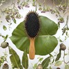 Sanby Industries C-481 Cushion Brush, C Series, Natural Wood, Boar