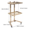 Salon Tray Cart with Storage Platform, 2 Tier Trolley Cart