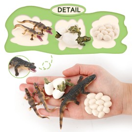 Crocodile Life Cycle Life Cycle of Baby Crocodile Figurines Set Toys Realistic Farm Animals Preschool Animals Figures Eduactional Project Diorama Model Toy for Kids