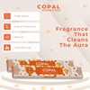 Copal Incense Sticks - Total 40 Insence-Sticks - Dual Pack