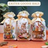HIFANMM 50 Counts Easter Goodie Bags, 3 Styles Drawstring Easter