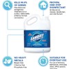 BioSafe Systems SaniDate® All Purpose Disinfectant, 64 FL OZ, unscented