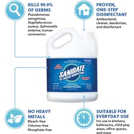 BioSafe Systems SaniDate® All Purpose Disinfectant, 64 FL OZ, unscented