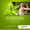 Suplemento Células Madre, Rgc Max, Tecnu® Con L-arginina Sabor Sin