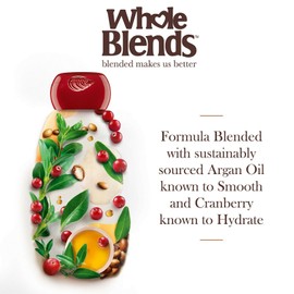 Garnier 2 PACK GARNIER WHOLE BLENDS COLOR SHIELD SHAMPOO & CONDITIONER WITH ACAI BERRY