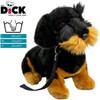 Carl Dick Dachshund, rough-haired dog with lead, sitting, black, dog,