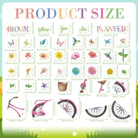 Pasimy Flower Bulletin Board Decorations Set 3D Paper Flower Cutouts Summer Butterfly Bicycle Leaves Bird Wall Decals Springtime Bloom Where You Are Planted Classroom Decoration for School Home Party