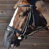 Hy Nose Shield-Black-Cob/Full