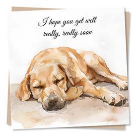 Get Well Soon Dog Design Card - I Hope You Get Well Really Really Soon - Beautiful Design - Sincere and Heartfelt - For Loved One, Relative, Friend, Best Friend or Partner
