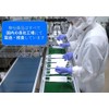 ライトカラー サージカルマスク JIS規格認証 長野県長野市クリーンルーム 自社製造自社出荷 (ライトグレー, 30枚個包装＊1箱)