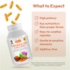 Andrew Lessman Turmeric Extract 400mg - High Potency Capsules