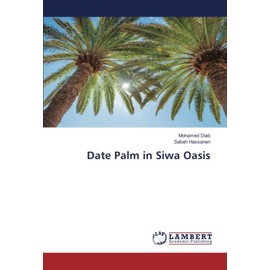 Date Palm in Siwa Oasis