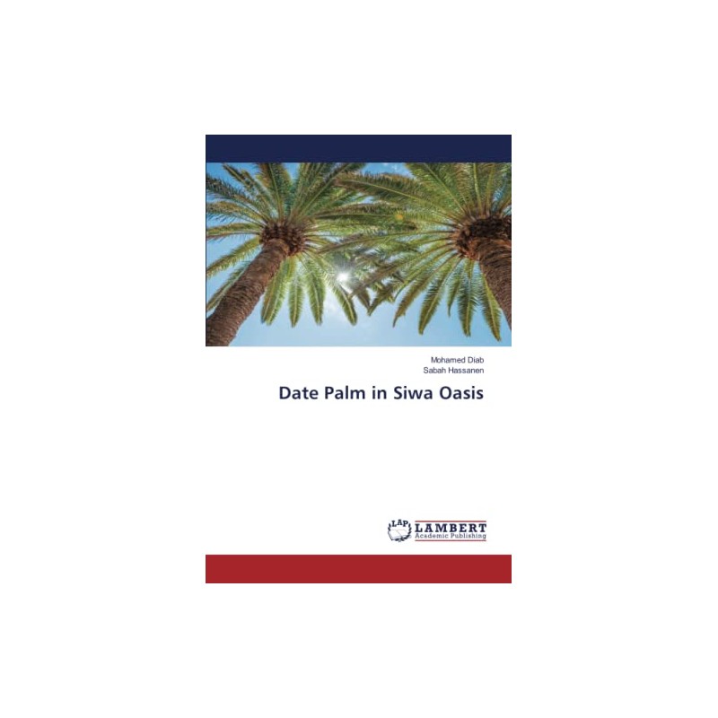 Date Palm in Siwa Oasis