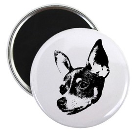 CafePress Toy Fox Terrier Magnet 2.25" Round Magnet, Refrigerator Magnet