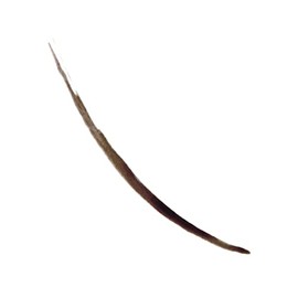 Colorstay™ Semi Permanent Brow Ink Soft Brown
