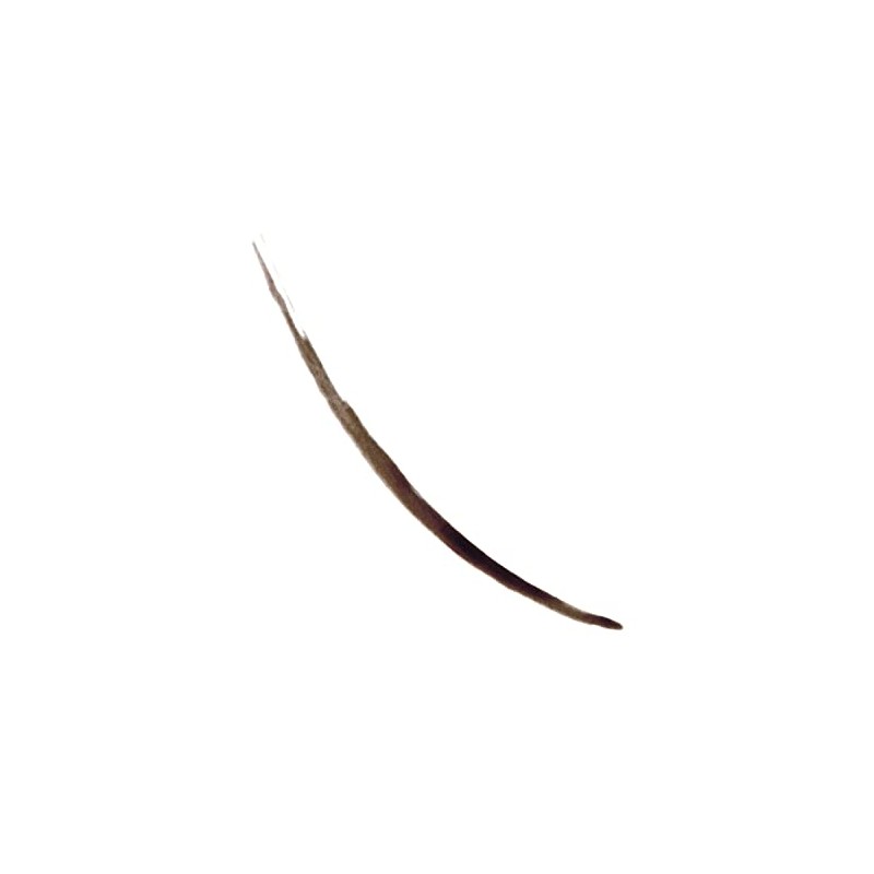 Colorstay™ Semi Permanent Brow Ink Soft Brown