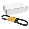 CONTITECH 6PK875 V-Ribbed Belt