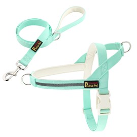 Plutus Pet Cotton Dog Harness and Lead Set, Reflective and Soft Padded, Quick Fit Vest Harness, for Small, Medium and Large Dogs, Light Cyan, M