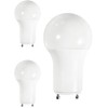 Diodesy- A19 LED Light Bulb 9.5W 800 Lumen 2 Prong