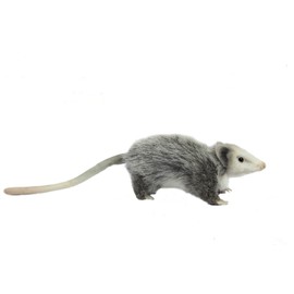 Hansa 8042 Opposum 23cm.L
