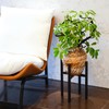 Adjustable Metal Plant Stand Indoor, Expandable 9 to 15 Inch