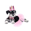 ZARSIO Tulle Tutu for Dogs, Dog Birthday Set Crown Hat