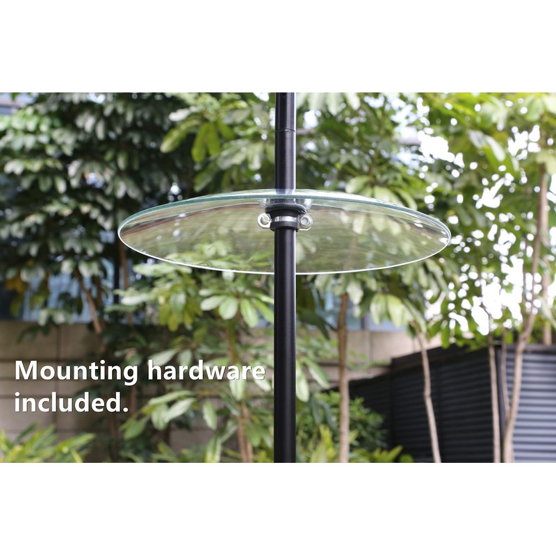 13 1/2 Inch Clear Glass Two-Way Squirrel Baffle and Weather