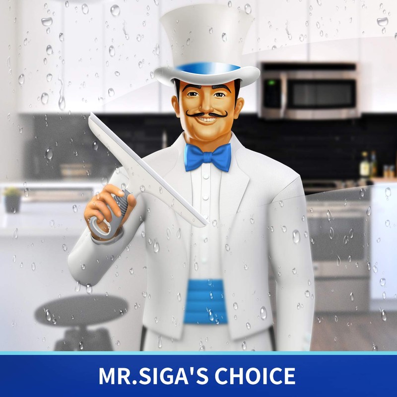 MR.SIGA Multi-Purpose Squeegee for Window, Glass, Shower Door, Car, Heavy