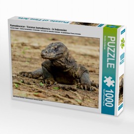 CALVENDO Komodo Dragon, Varanus komodoensis, in Indonesia, 1000 pieces, size 64 x 48 cm, photo puzzle picture by Sandra Schänzer