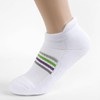 Double Band Women's Plain Socks with Green Line Right Angle