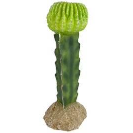 Multi Pet 48593325: Komodo Cactus Plant Moon, 7.5In