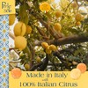 Perle di Sole Lemon and Orange Flavored Gummies - Italian