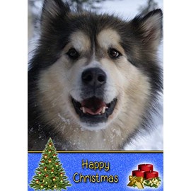 Alaskan Malamute Dog Christmas Card 'Happy Christmas' - Special Dog Pet Xmas Card for Him Her from Pets Kids
