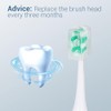Marchpower Juego para Cepillos de Dientes 2 en 1, 3