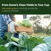 TerraPick Korean Cabbage Juice – Gut Health & Digestion Support,