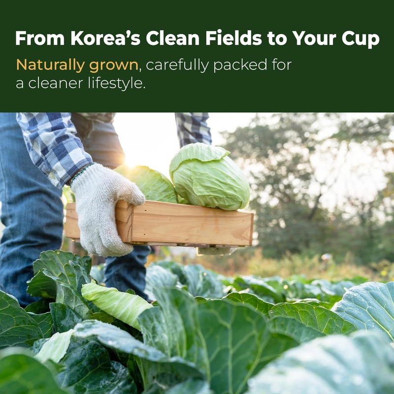 TerraPick Korean Cabbage Juice – Gut Health & Digestion Support,