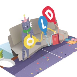 Unhinged 3D Pop-Up Funny Cat Birthday Card ‘Hooray You’re Old’ Birthday Card for Him Birthday Card for Her Funny Witty Adult Humorous Handmade Card