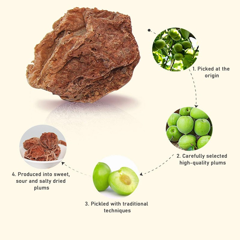 SXETBEAN Dried Plums, 200g/7oz Salty, Sour and Sweet Dried Plum