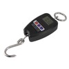 Portable Electronic Scale High Accuracy Digital Hanging Scale 200kg Weight