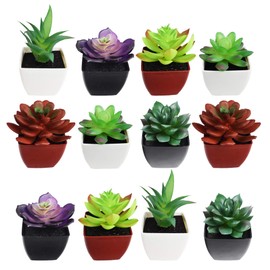 Set of 12 Faux Succulents in Planters - Red, White, and Black Planters - 3"-4.5" (12)