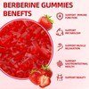Berberine Gummies with Ceylon Cinnamon 1500mg High Potency Berberine HCL