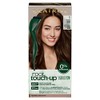 Clairol Root Touch-Up by Natural Instincts Permanent Hair Dye, 5