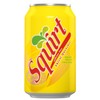 Squirt Soda, 12 Ounce (24 Cans)