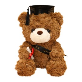 HOVCEH Teddy Bear Plush Toy, Small, Exam Bear, Teddy Plush Bear with Graduation Hat, Bachelor Gift, Passed Exam Gift, Gifts for Bachelor Degree