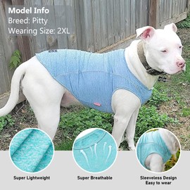 KYEESE 2Pack Dog Shirt with Reflective Stripe Athletic Tank Top Pet Shirt for Small Dogs Breathable Sleeveless Dog Vest,Lake Blue+Rose Red,M