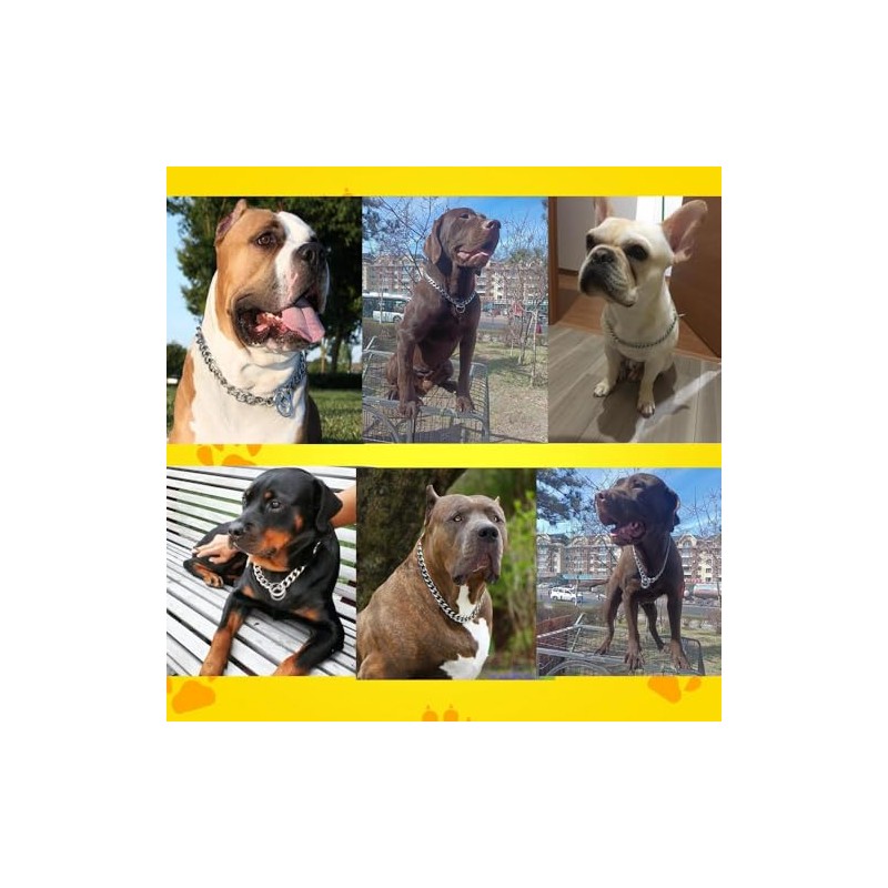 Choke Chain for Dogs,Heavy Metal Training Slip P Link Puppy