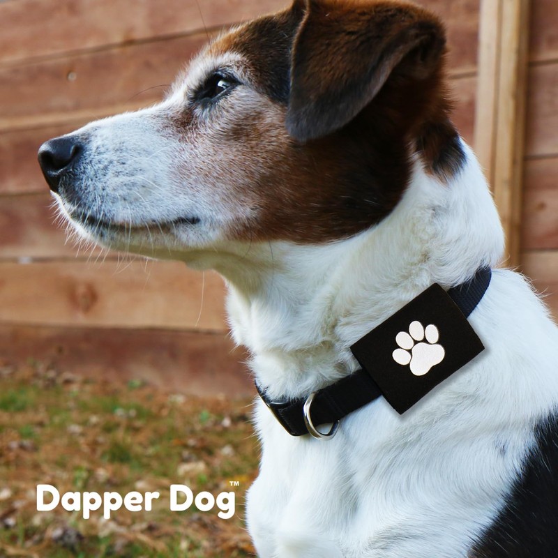 Dapper Dog Pet Tag Silencer and AirTag Holder (Black with