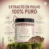 COMMONS Hongos Adaptógenos Hongo Cola de Pavo Extracto en Polvo