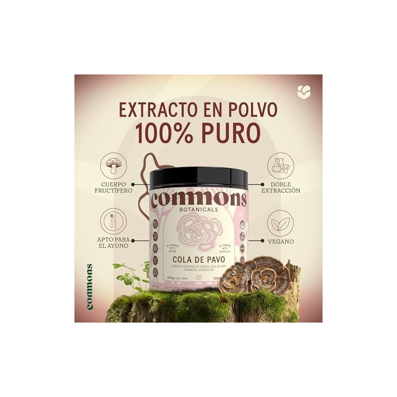 COMMONS Hongos Adaptógenos Hongo Cola de Pavo Extracto en Polvo