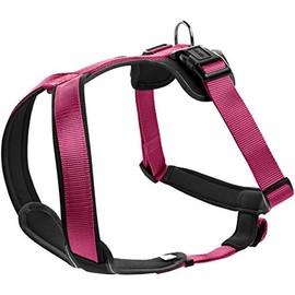 HUNTER NEOPREN dog harness, nylon, padded with neoprene, for sport and leisure, raspberry / black, nylon, neoprene, XS-S (38-48)